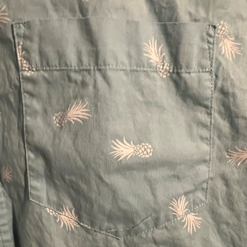 Pineapple Button Down - image 4